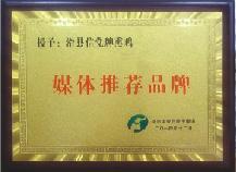 2014年12月，被河南電視臺(tái)民生頻道授予媒體推薦品牌及合作戰(zhàn)略伙伴